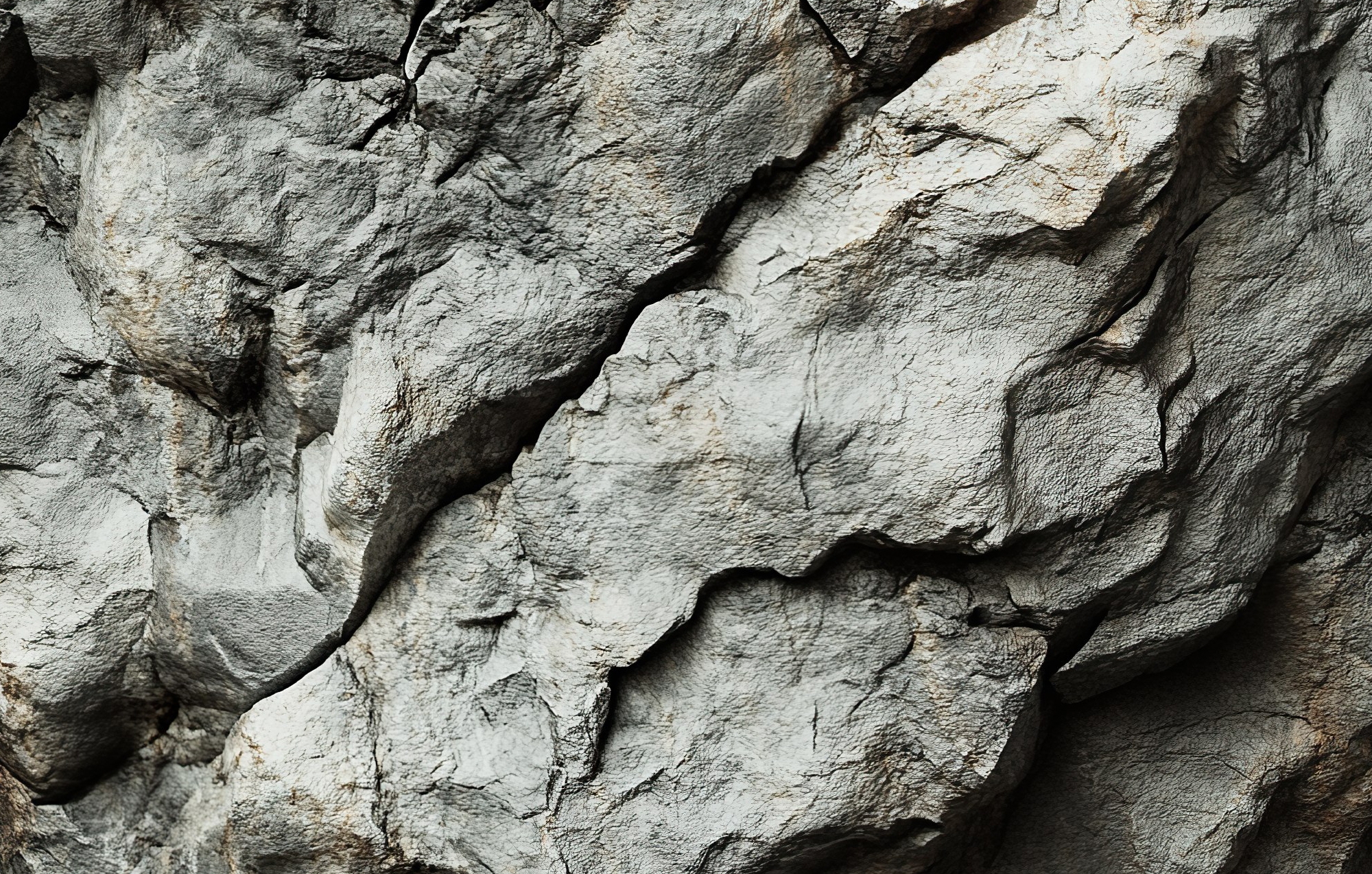 Успешно запущен новый проект - KRIDA