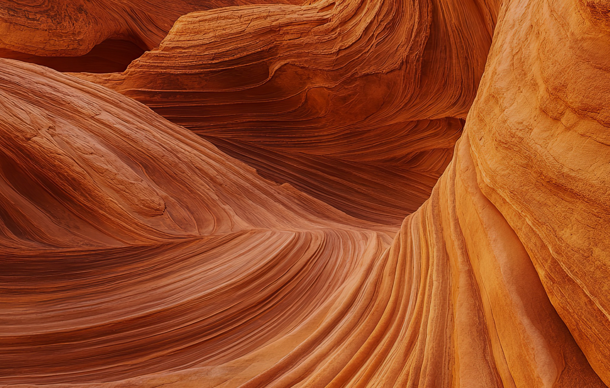 Миссия и ценности KRIDA