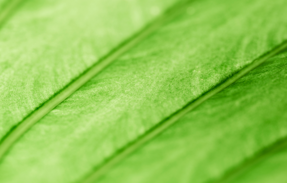 События мая