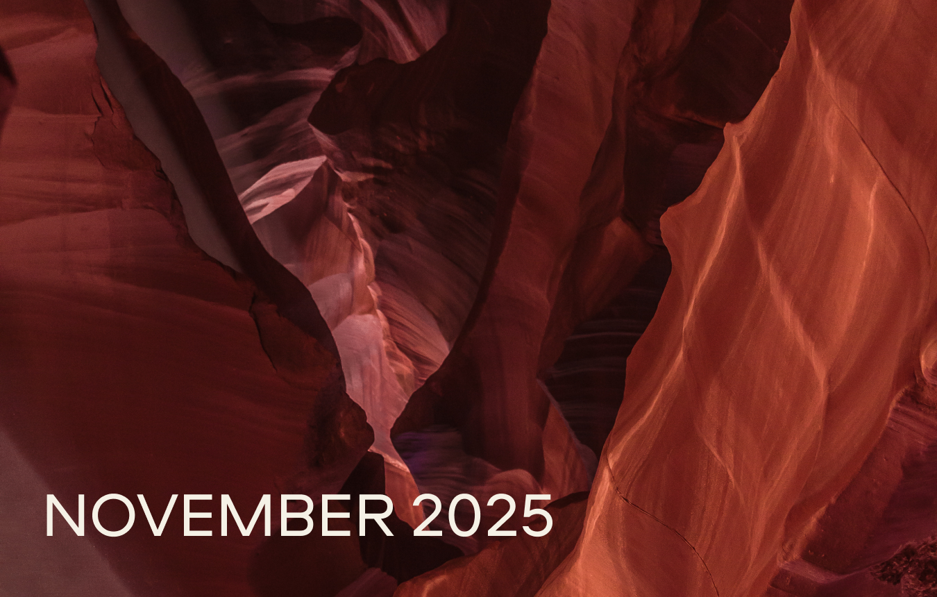 События ноября