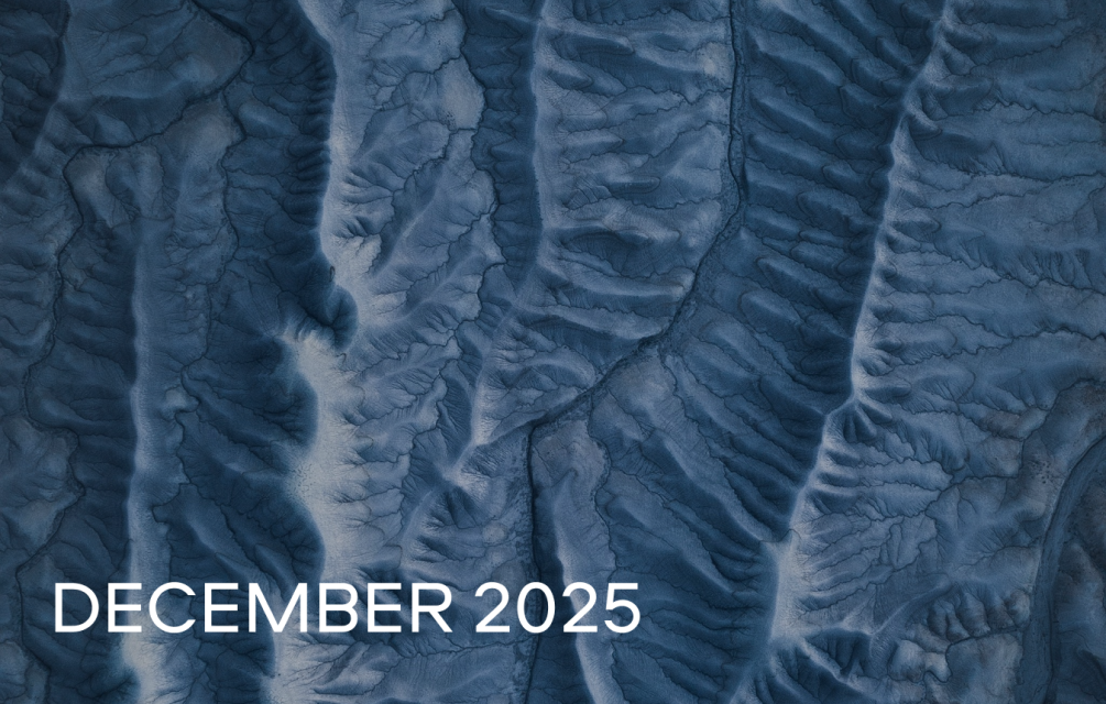 События декабря